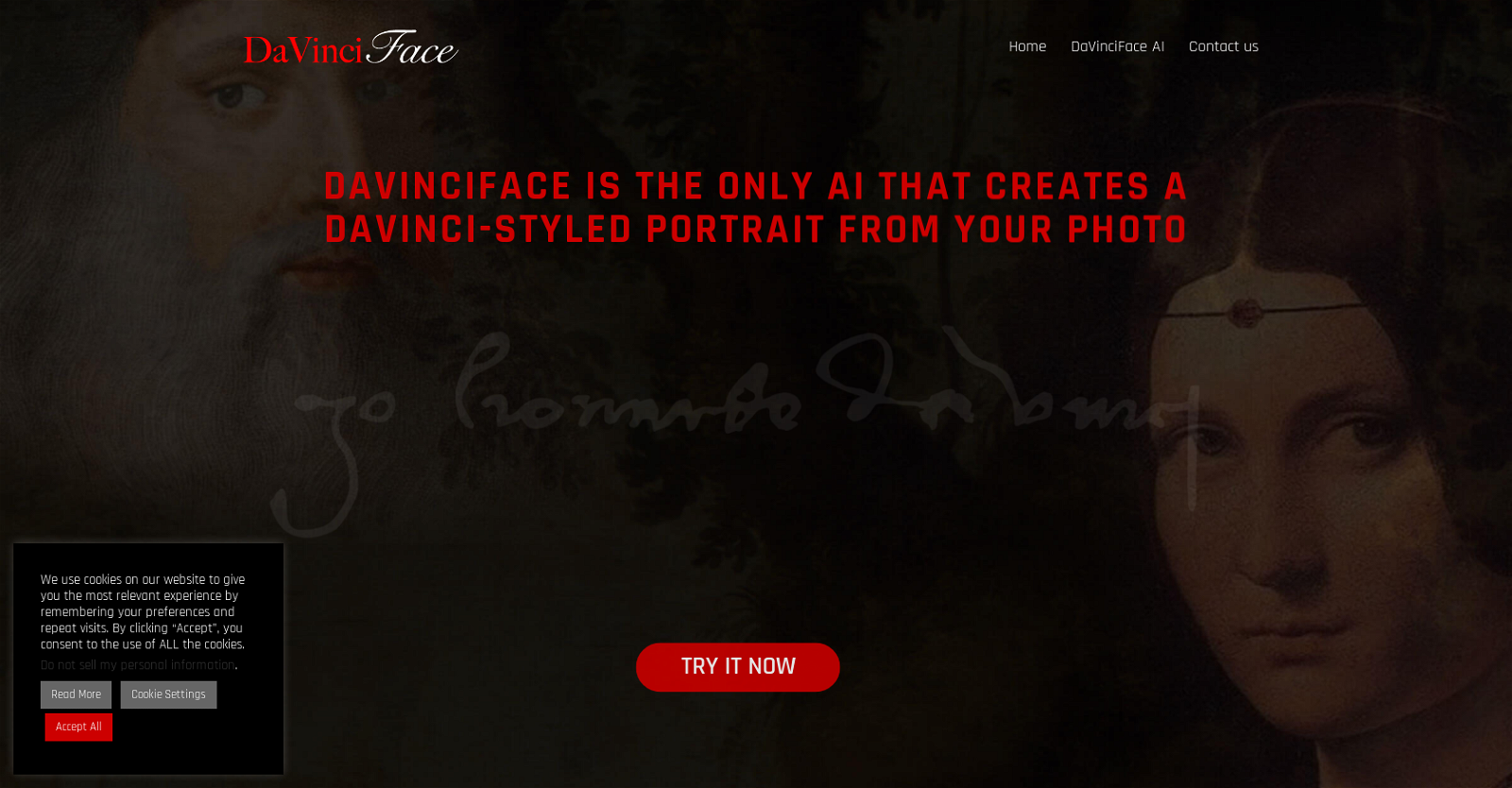 DaVinciFace